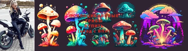 дурь Алексеевка