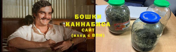 шишки Алексин