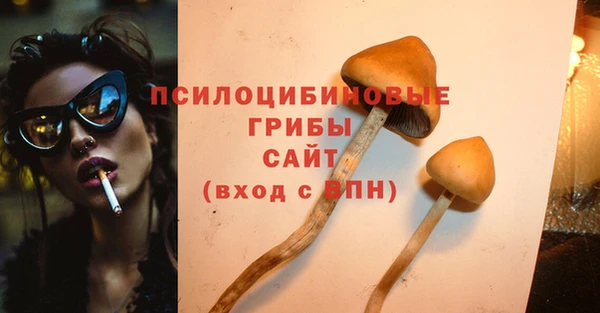 дурь Алексеевка