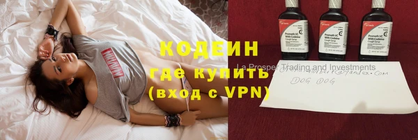 шишки Алексин