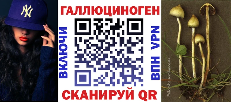 Галлюциногенные грибы Psilocybe Белореченск