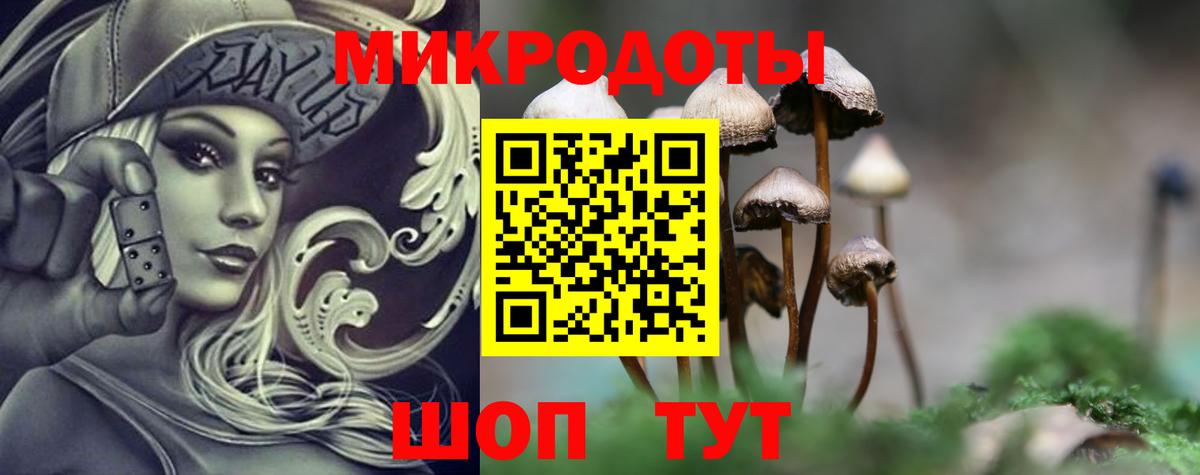 Белореченск  Псилоцибиновые грибы Psilocybe  Вход с VPN 